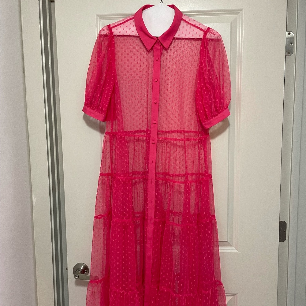 WOMEN’S | Jealous Tomato Sheer pink maxi dress